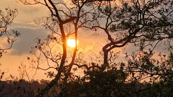 鏡像世界3D藝廊展覽館 2D平面區-我的視角-作品:日落