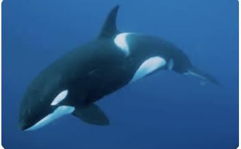 鏡像世界3D藝廊展覽館 2D平面區-test-展覽館視覺圖