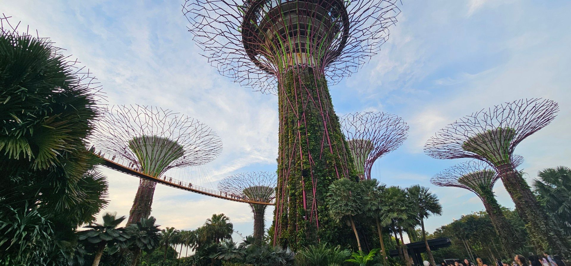 鏡像世界3D藝廊展覽館 2D平面區-我的視角-作品:雲下之樹