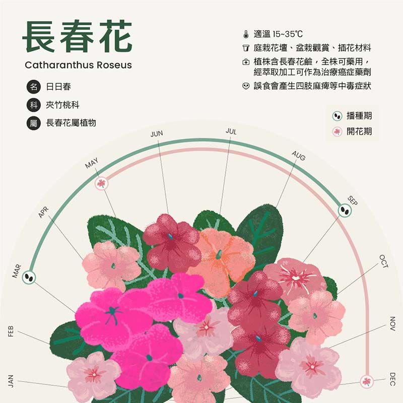 鏡像世界3D藝廊展覽館 2D平面區-BIAS 荿見 - 太空貓貓與它的夥伴-作品:日日春資訊視覺化圖表