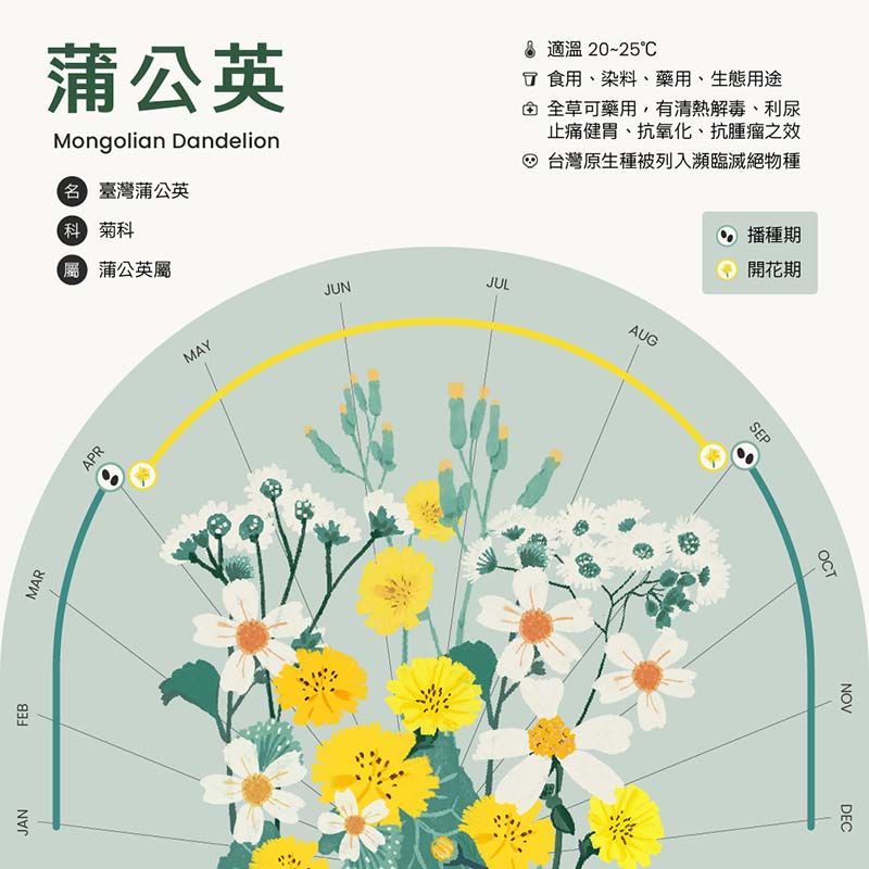 鏡像世界3d藝廊展覽館BIAS 荿見 - 太空貓貓與它的夥伴-蒲公英資訊視覺化圖表