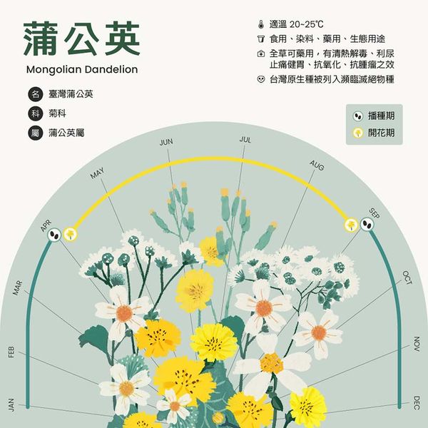 鏡像世界3D藝廊展覽館-Bias-作品:蒲公英資訊視覺化圖表